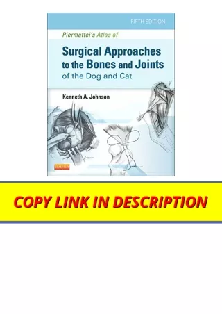 PDF read online Piermatteis Atlas of Surgical Approaches to the Bones and Joints