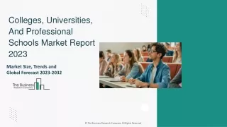 Colleges, Universities, And Professional Schools Market