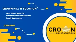 Crown Hill IT Solutions—Your First Choice for Affordable SEO Services for Small