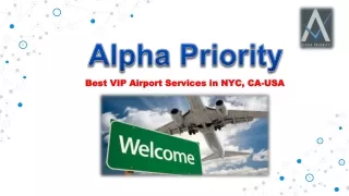 VIP Meet and Greet Airport Services