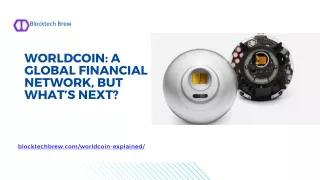 WorldCoin A Global Financial Network, but What’s Next