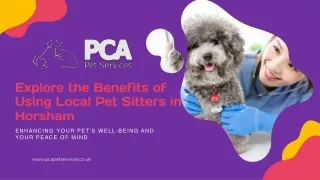 Explore the Benefits of Using Local Pet Sitters in Horsham