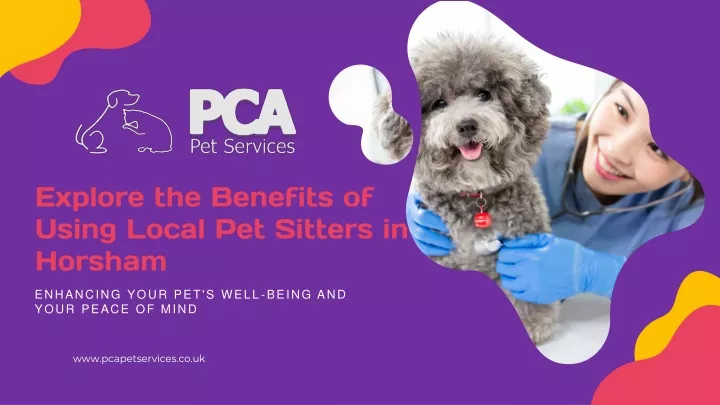 explore the benefits of using local pet sitters