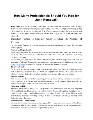 how many professionals should you hire for junk