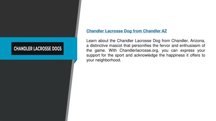chandler lacrosse dog from chandler az learn