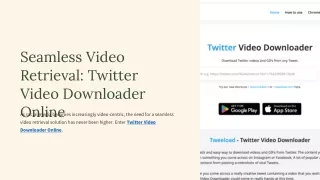 Seamless Video Retrieval Twitter Video Downloader Online
