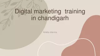 digital marketing training in chandigarh