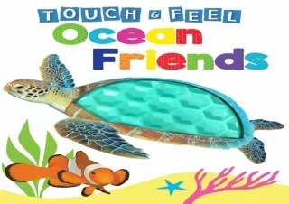 READ Ocean Friends - Touch and Feel Board Book - Sensory Board Book