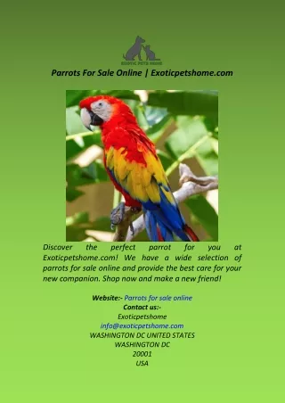 Parrots For Sale Online  Exoticpetshome