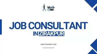 Job Consultant in Zirakpur