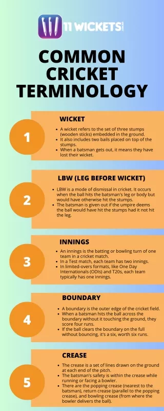 Common Cricket Terminology