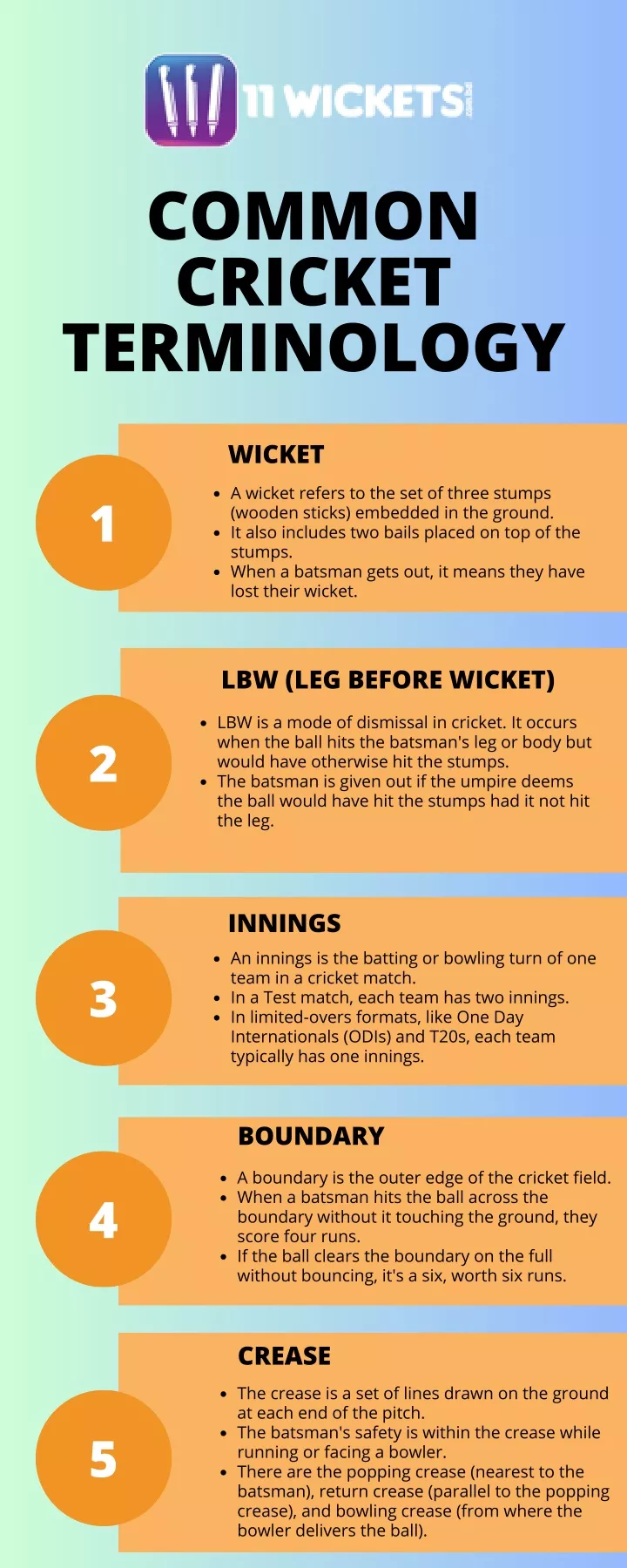 common cricket terminology