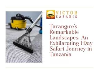 Tarangire’s Remarkable Landscapes An Exhilarating 1-Day Safari Journey in Tanzania