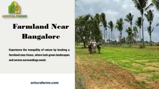 Farmland near bangalore