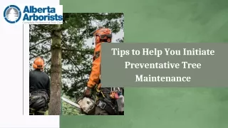Tips to Help You Initiate Preventative Tree Maintenance