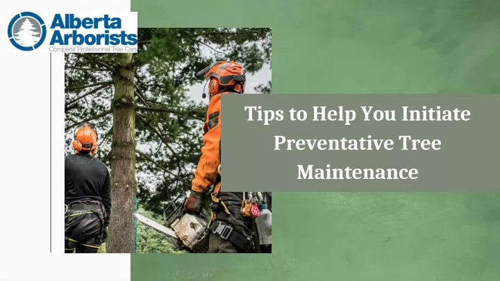tips to help you initiate preventative tree