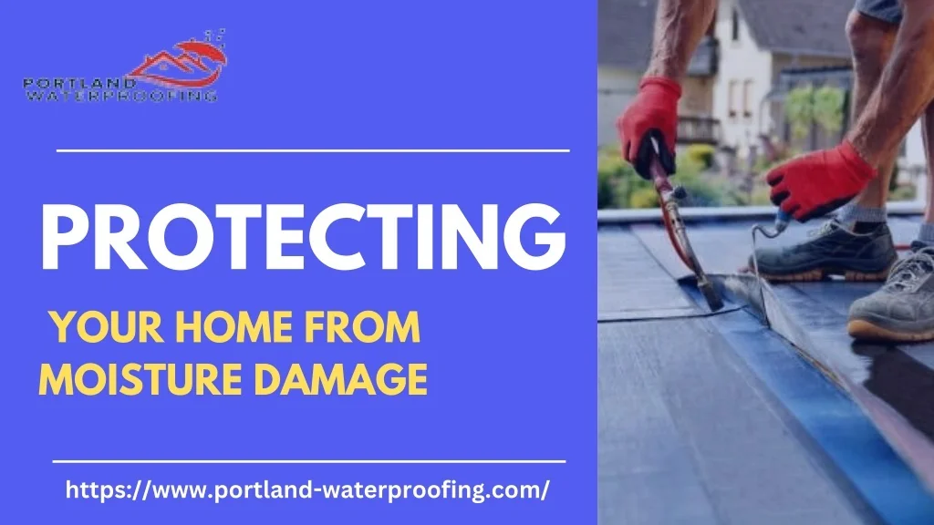 PPT - Protecting Your Home from Moisture Damage PowerPoint Presentation ...