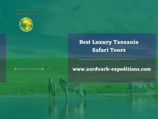 Best Luxury Tanzania Safari Tours