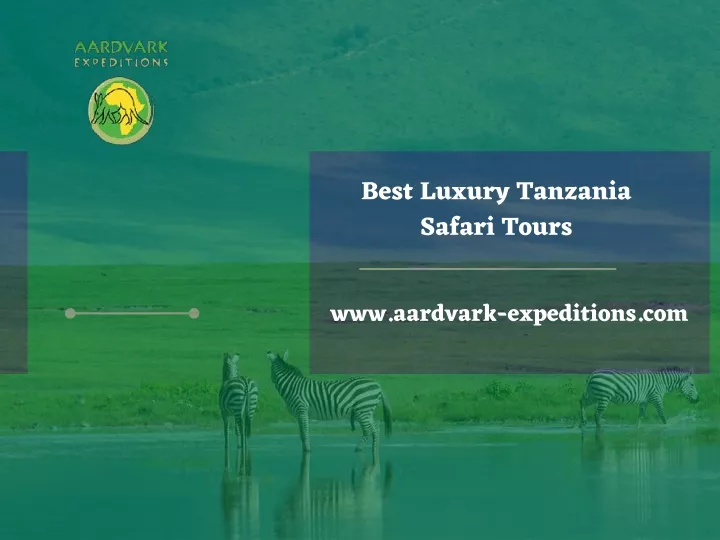 best luxury tanzania safari tours