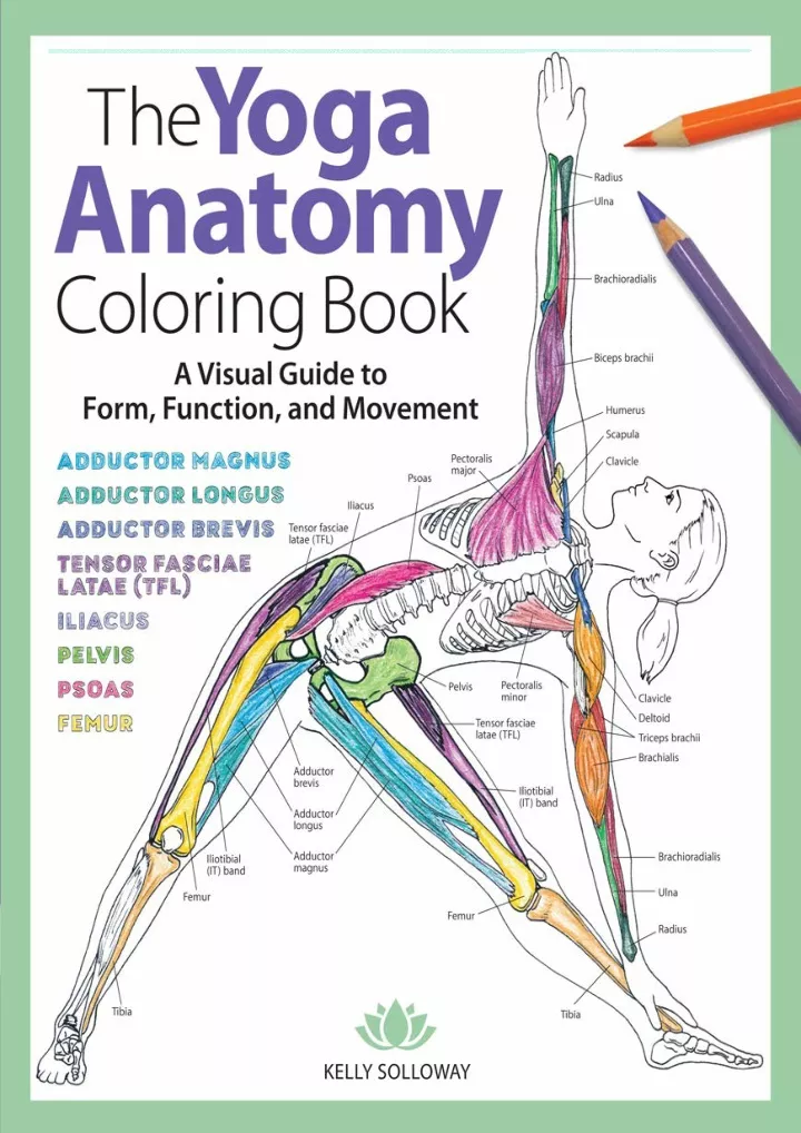 yoga anatomy coloring book a visual guide to form