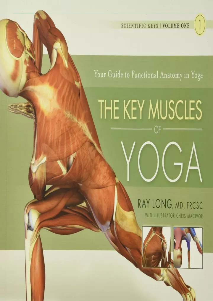 the key muscles of yoga scientific keys volume