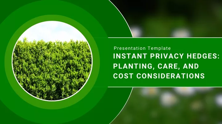 presentation template