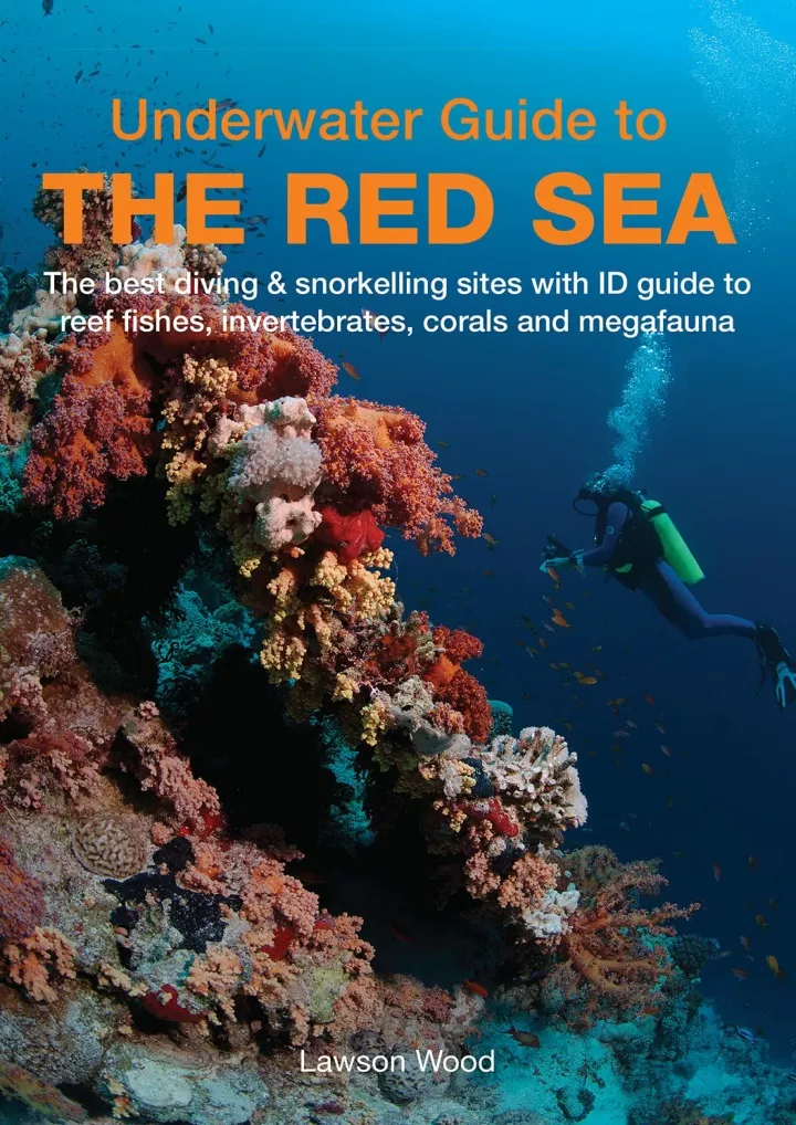 underwater guide to the red sea download pdf read