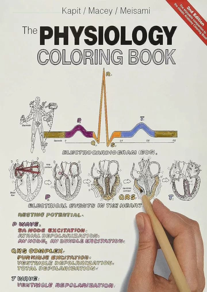 PPT DOWNLOAD/PDF Physiology Coloring Book, The kindle PowerPoint