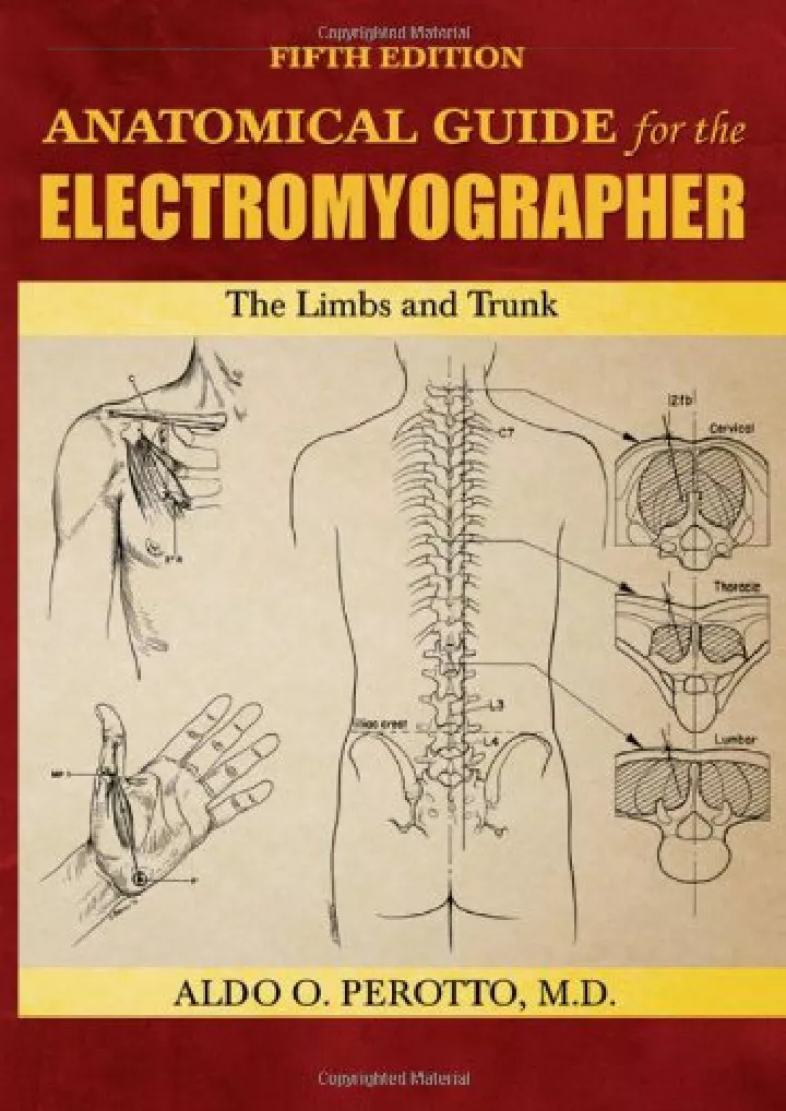 anatomical guide for the electromyographer