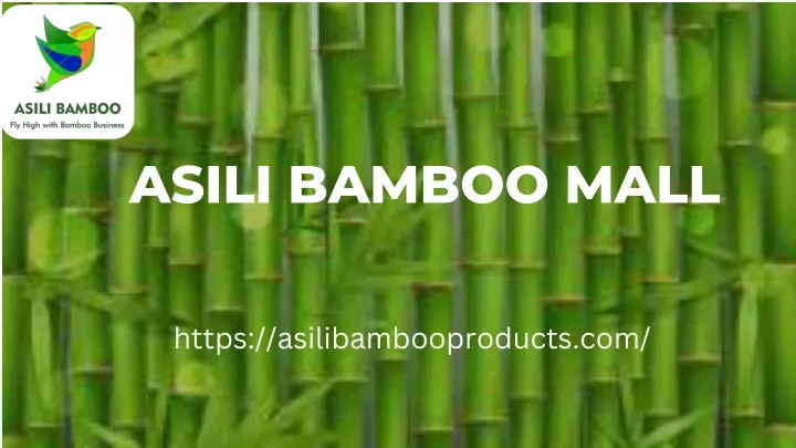 asili bamboo mall