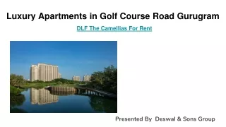 DLF The Camellias Gurgaon