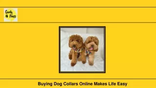 buying dog collars online makes life easy