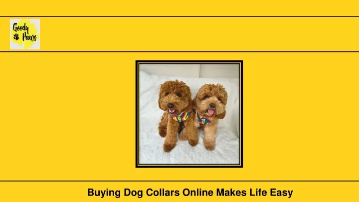buying dog collars online makes life easy