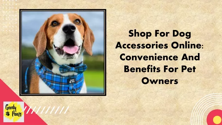 shop for dog accessories online convenience