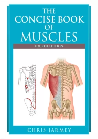 Read PDF  The Concise Book of Muscles, Fourth Edition