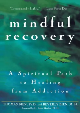Read Book Mindful Recovery: A Spiritual Path to Healing from Addiction