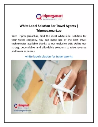 White Label Solution For Travel Agents