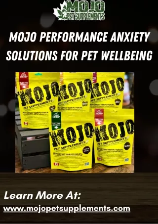 Mojo Performance Anxiety Solutions for Pet Wellbeing