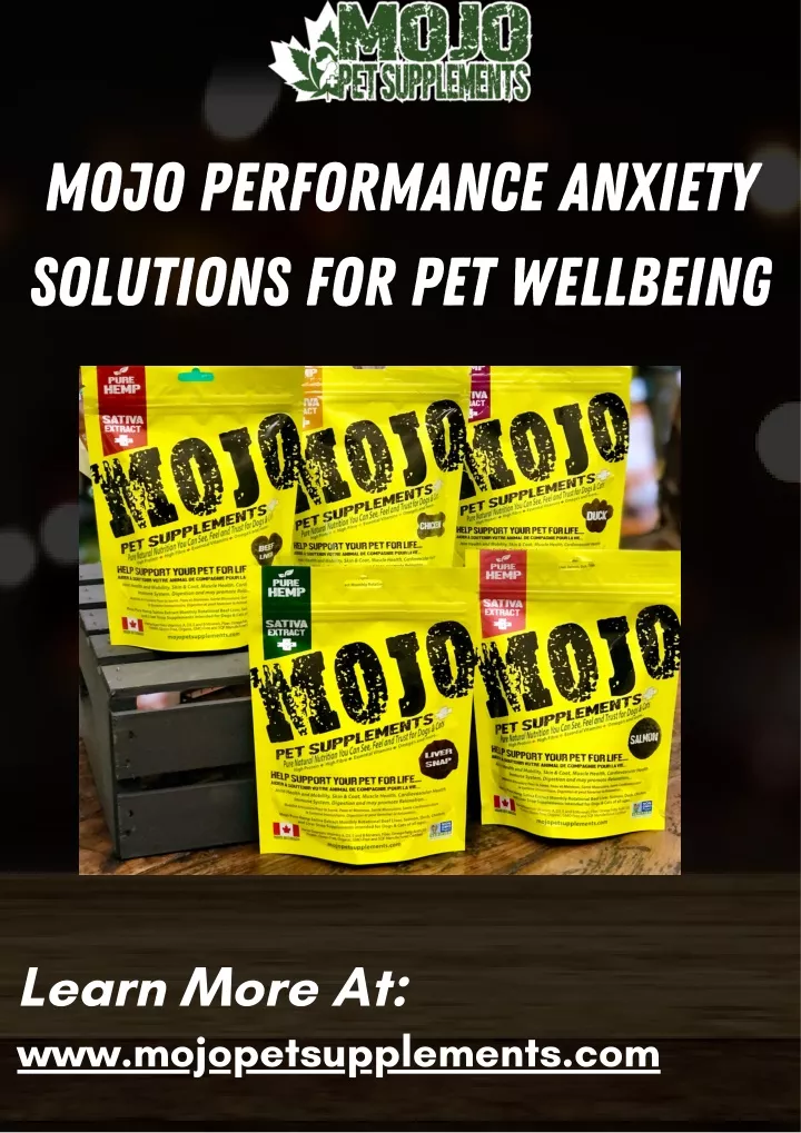 mojo performance anxiety solutions