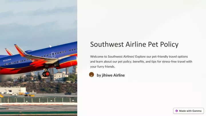 southwest airline pet policy