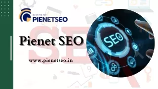 Potential of a Website with Indian Professional SEO Services | PieNetSEO