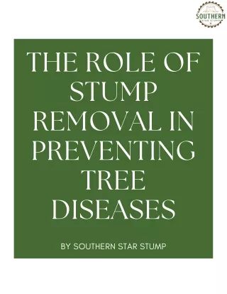 The Role of Stump Removal in Preventing Tree Diseases