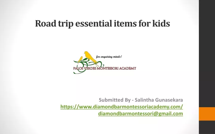 road trip essential items for kids