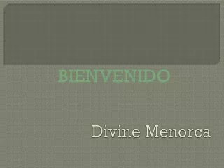 divine menorca