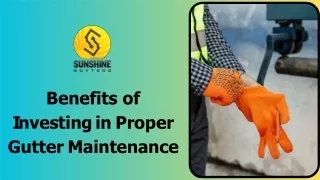 Benefits of Investing in Proper Gutter Maintenance
