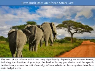 How Much Does an African Safari Cost?