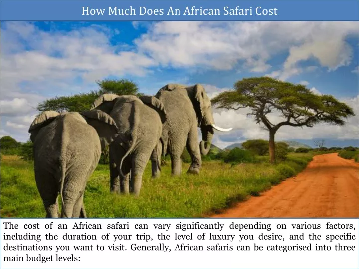 how much does an african safari cost