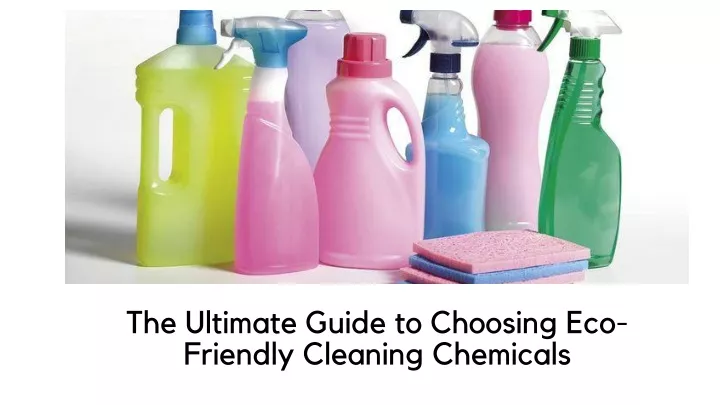 the ultimate guide to choosing eco friendly