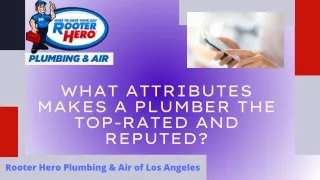 What Attributes Makes A Plumber The Top-Rated and Reputed?