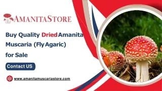 Buy Quality Dried Amanita  Muscaria (Fly Agaric)